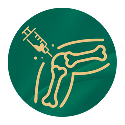 Viscossuplementação