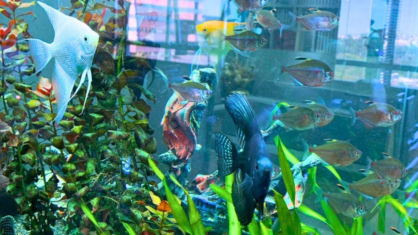 CIME Saúde Ortopédica